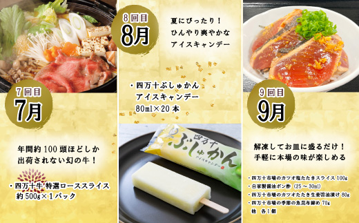 【年末限定】【12回定期便】四万十の人気グルメお楽しみ定期便 しまんとふるさと定期便30万円コース 24-618