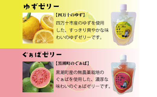 しまッチ の 飲むゼリー 10個 常温便 冷やして おいしい ゼリー フルーツゼリー ドリンク スイーツ おやつ プルプル ゆず ユズ 柚子 ぐぁば グァバ 香料不使用 果実味 お取り寄せ 高知県 高知 四万十市 四万十 しまんと