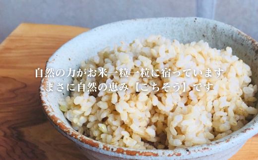 【令和7年産】四万十市産 コシヒカリ 玄米 5kg 栽培期間中農薬・ 化学肥料・除草剤不使用 国産 こしひかり 2025年産 米 おこめ こめ コメ ご飯 高知 四万十 しまんと 農家直送 蕨岡の百姓 福留壯 オーガニック 5kg×1袋