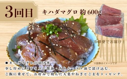 【3回定期便】ご飯にのせて！贅沢 どんぶり 定期便 3回 毎月届く 鰹 かつお カツオのたたき 鰻 ウナギ マグロ キハダマグロ 海鮮丼 ひつまぶし 鰻めし マグロ丼 漬け丼 魚介 高知県 四万十市 四万十 しまんと お取り寄せ