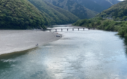 希少 四万十川産＜天然うなぎ＞白焼き 2尾（約400ｇ） 天然うなぎ 天然 四万十川 希少 鰻 ウナギ うなぎ グルメ ギフト 食べ物 食品 国産鰻 白焼 うなぎ白焼き ウナギ白焼き 鰻白焼 冷凍 国産 高知 高知県 四万十市 四万十 天然うなぎ（白焼き）約200ｇ×2尾