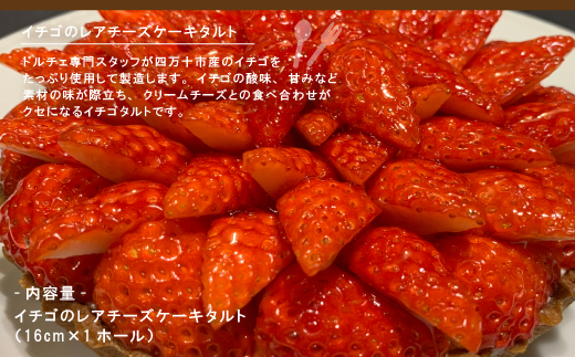 早期受付 はざまの森 季節 の スイーツ 3回 定期便 春 フルーツ 果物 イチゴ 苺 ケーキ タルト チーズケーキ 洋菓子 菓子 デザート 米粉 プリン 冷凍スイーツ 高知 南国 四万十 しまんと 【配送時期：2026年3月4月5月】