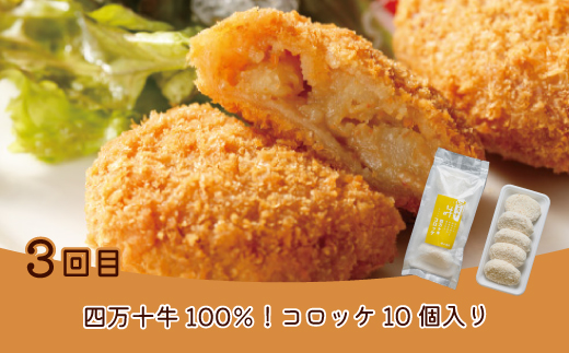 【 5回定期便 】 簡単調理 でごちそう！ 四万十のおかず定期便 5回 毎月届く カツオ うなぎ コロッケ 餃子 ギョーザ チキン おかず 惣菜 ごちそう 夕食 調理済み 定期便 高知 四万十市 四万十 しまんと