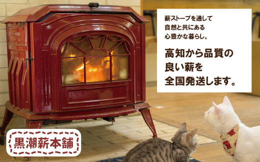 【 数量限定 】 薪ストーブ や アウトドア に！黒潮薪本舗の 黒潮薪 1箱 約17kg 薪 まき 焚き火 たき火 木 広葉樹 暖炉 キャンプ バーベキュー 木材 シイ カシ 国産 高知 四万十 しまんと【発送期間：2025年8月～2026年3月31日まで