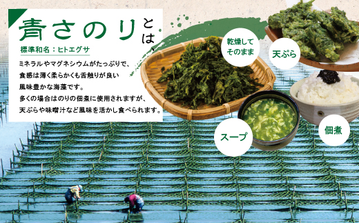 土佐 のこだわり 佃煮 4瓶 セット 青さのり佃煮 ゆずみそ 宗田節 青じそ 柚子 味噌 四万十川 のり つくだに 海苔佃煮 のりつくだに 海苔の佃煮 海苔 長期保存 常温保存 非常食 保存食 備蓄 高知 高知県 四万十 四万十市 しまんと 国産