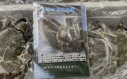 清流 四万十川 天然 モクズガニ 約1kg 濃厚な旨み 大小混合 冷凍 クール 国産 鮮度 魚介類 かに カニ 蟹 つがに ツガニ もくずがに かに汁 だし カニみそ 川ガニ 高知県 四万十市 しまんと 自然 瞬間冷凍 予約 お取り寄せ 25-948