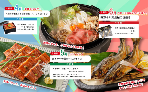 【年末限定】 12回 定期便 四万十 人気 グルメ お楽しみ定期便 しまんと ふるさと 20万円 今だけ 年末 限定 肉 いちご うなぎ 牛肉 パン まぐろ マグロ かつお フルーツ 人気グルメ ごちそう 贅沢 豪華 高知 四万十市