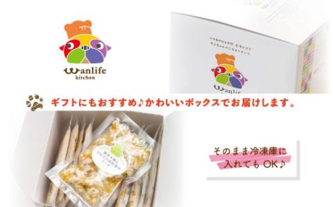 【12回定期便】いつものごはんにかけるだけ！国産豚肉と高知野菜のビタミンたっぷりスープ 12袋セット×12回配送（合計144袋）【ペットフード】R6-432
