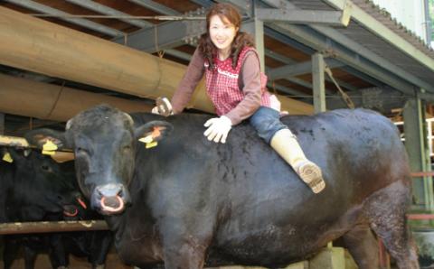 幻のメス牛　四万十牛こじゃんと贅沢な切り落とし（焼肉用・800ｇ）R5-019