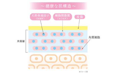 数量限定！呼吸肌 洗顔フォーム 120g　(2本セット) R5-193