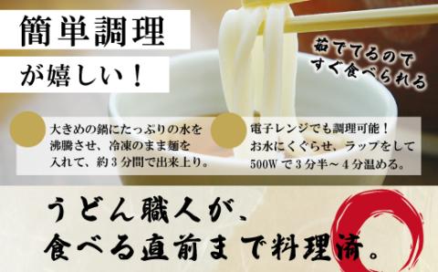 【数量限定】四万十うどんと人参のかき揚げ６食入り R5-797
