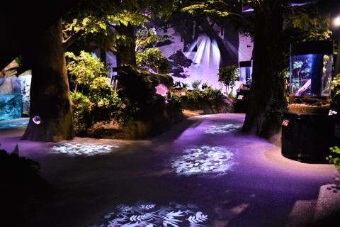 おもてなしタクシー(6)「竜串コース」3.5時間 R5-961