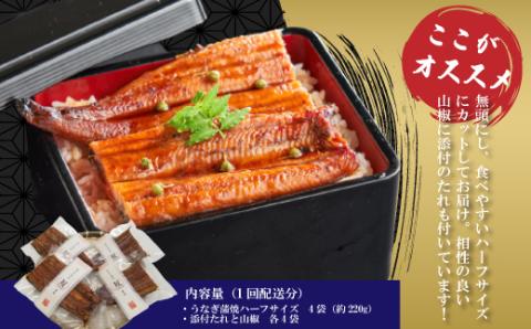 6回 定期便 うなぎ の 蒲焼 と 鰹のタタキ 月替わり 定期便 冷凍 魚 魚介 かつお カツオ 鰹 藁焼き たたき タタキ ウナギ 鰻 鰻の蒲焼 ご当地 グルメ ごちそう 総菜 おかず 四国 高知 四万十 しまんと 新鮮