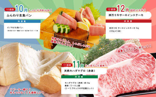 【年末限定】 12回 定期便 四万十 人気 グルメ お楽しみ定期便 しまんと ふるさと 30万円 今だけ 年末 限定 肉 うなぎ 牛肉 パン まぐろ マグロ かつお 人気グルメ ごちそう 贅沢 豪華 高知 四万十市 2025-618