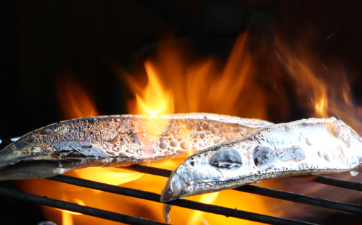 四万十市場のカツオ塩たたき自家製醤油ポン酢(塩振り、スライス済み、血合い抜き)・カツオ生節醤油漬けセット