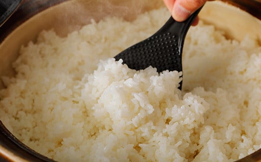 【令和7年産】四万十産 四万十米 コシヒカリ 10kg（5kg×2袋） 国産 こしひかり 5kg 令和7年 2025年 精米 白米 米 おこめ こめ コメ ご飯 ごはん 高知 四万十 しまんと 四万十川 R7 10㎏（5kg×2袋）