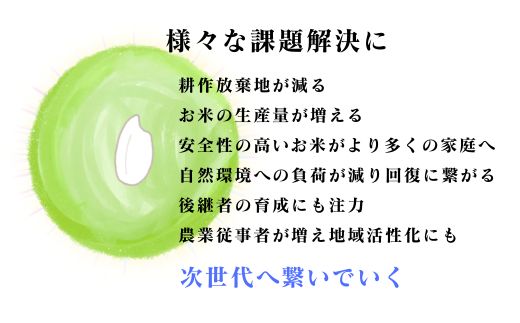 【令和7年産】四万十市産 コシヒカリ 玄米 20kg 栽培期間中農薬・ 化学肥料・除草剤不使用 国産 こしひかり 2025年産 米 おこめ こめ コメ ご飯 高知 四万十 しまんと 農家直送 蕨岡の百姓 福留壯 オーガニック 20kg×1袋
