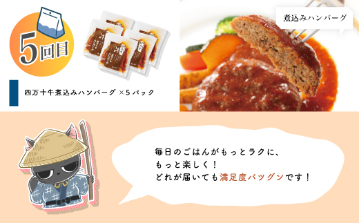 【 5回 お届け 】 便利 でうれしい！ 小分け 定期便 毎月届く 小分けパック ストック 保存食 冷凍 冷凍食品 惣菜 おかず パン ベーグル うなぎ 鰻 かつお 鰹 ハンバーグ お弁当 弁当 ごちそう 高知 四万十市 四万十 しまんと 5回配送