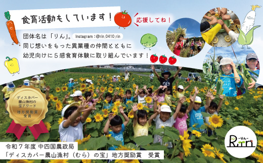 【 早期受付 】 とれたて 新鮮 ！ぱっくん畑のおくりもの 農家直送 秋・冬 野菜セット 約5種類 国産 野菜 やさい ベジタブル 先行 予約 高知県 高知 しまんと 四万十市 野菜便 限定 お取り寄せ 【2026年11月～2027年2月の間に1回配送】 ・単品（1回配送）