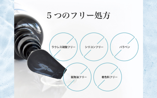 3回 定期便 サロン・ド・オーデ ハイドロリペア シャンプー ＆ トリートメント つめかえ用 各 440ml 2本 セット 合計 6本 ダメージ補修 ボトル 液体 アロインス製薬 美容 美容品 化粧品 日用品 高知 高知県 四万十 四万十市 しまんと 3回配送（合計6個）