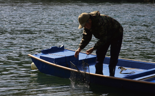四万十川漁協遊漁券 1年券 【令和8年3月1日～令和9年2月28日】 高知 高知県 四万十川 令和9年 令和8年 2027年 2026年 釣り 川釣り フィッシング 遊漁 遊漁券 アウトドア うなぎ ウナギ 鰻 あゆ アユ 鮎 四万十市 四万十 しまんと