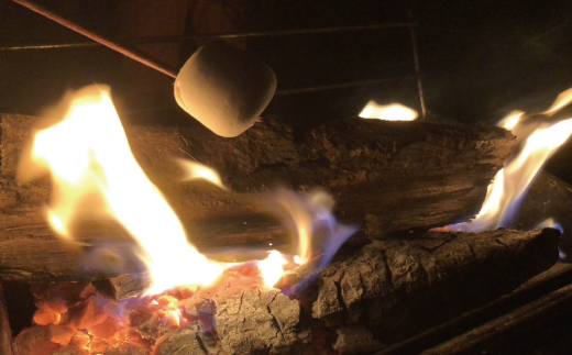 【 数量限定 】 薪ストーブ や アウトドア に！黒潮薪本舗の 黒潮薪 1箱 約17kg 薪 まき 焚き火 たき火 木 広葉樹 暖炉 キャンプ バーベキュー 木材 シイ カシ 国産 高知 四万十 しまんと【発送期間：2025年8月～2026年3月31日まで