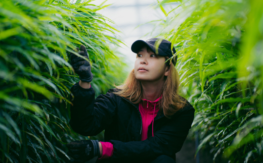 【 山﨑生姜農園 】 生姜農家 が作った 至高の 生姜ジャム 万能 調味料 生姜焼き ジンジャー 生姜 しょうが ショウガ ジャム 濃厚 きび糖 加工品 食品 グルメ 高知県 高知 四万十市 四万十 しまんと