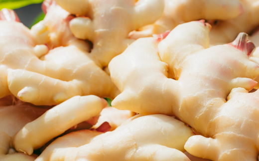 【山﨑生姜農園 】 生姜農家 が作った 生姜スパイス 4本 セット （ 生姜塩・紅生姜塩・にんにく紅生姜塩・生姜パウダー） 粉末 パウダー 調味料 スパイス 塩 生姜 しょうが ショウガ にんにく ニンニク 高知県 高知 四万十市 四万十 しまんと