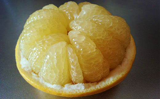 【早期受付・数量限定】熟成の土佐文旦5kg 家庭用 予約 先行受付 大人気 リピーター フルーツ 果物 旬 文旦 ぶんたん ブンタン 土佐文旦 柑橘 オススメ 四万十 しまんと 高知県 高知 産地直送 農家直送 【2026年2月下旬より発送】R7-551