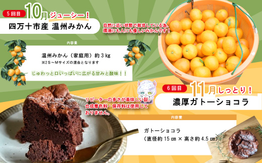 【年末限定】 7回 定期便 四万十 人気 グルメ お楽しみ しまんと ふるさと 定期便 5万円 Ｂコース 今だけ 限定 野菜 ガトーショコラ 生食パン あん食パン 魚 タタキ 鰹 かつお 肉 骨付き 四万十鶏 豚肉 はらみ フルーツ みかん 高知 四万十市