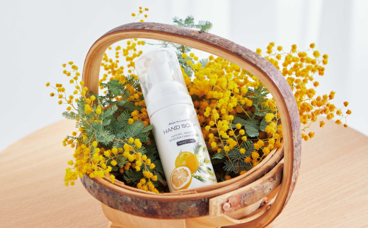 【 ミアミモザ 】 ミアミモザ ハンドソープ 50ml 1本 天然香料 が ふんわり 広がる クリーミー 泡 手洗い 液体 石鹸 石けん せっけん ギフト プレゼント 贈答 贈り物 美容 コスメ スキンケア 保湿 高知県 高知 四万十市 四万十 しまんと