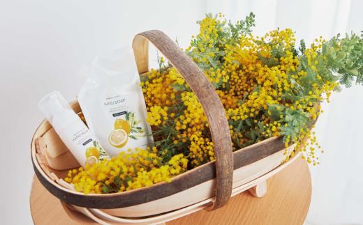 【 ミアミモザ 】【 ギフト箱入 】ミアミモザ ハンドソープ ＆ 詰め替え レフィル セット 各1個 化粧箱 ギフト箱 天然香料 が ふんわり 広がる 手洗い ギフト プレゼント 贈答 美容 コスメ 高知県 高知 四万十市 四万十 しまんと