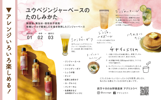 生姜好きさんにオススメ！ 濃厚 しょうがシロップ 2本セット【あまくち】国産 生姜シロップ 自家製 生姜 しょうが ショウガ ジンジャー シロップ 甘口 ドリンク 料理 調味料 高知 四万十 四万十市 しまんと 産地直送 あまくち 2本セット