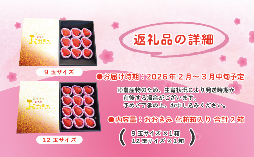 【 早期受付 数量限定 】 苺 の貴婦人 おおきみ 化粧箱 2箱 贈答 ギフト フルーツ 果物 いちご ストロベリー 高級 人気 大粒 プレミアム 限定品 高知県 高知 四万十市 四万十 しまんと お取り寄せ 【2026年2月より順次発送予定】
