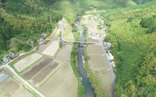 【令和7年産 数量限定】 四万十 の 米どころ 山間地域で育てた 大宮米 ヒノヒカリ 10kg 高知県 高知 しまんと 国産 お米 米 白米 精米 ひのひかり 低農薬栽培 ご飯 産地直送