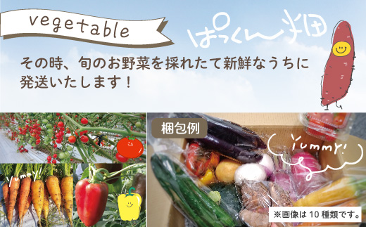 【早期受付】 春・夏 野菜セット 約5種類 とれたて 新鮮 ぱっくん畑のおくりもの 農家直送 国産 野菜 やさい 予約 高知県 高知 四万十市 四万十 しまんと 野菜便 限定 産地直送 お取り寄せ 【2026年5月～8月の間に1回配送】