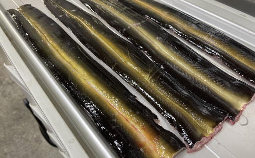 希少 四万十川産＜天然うなぎ＞蒲焼 2尾（約400ｇ） 天然うなぎ 天然 四万十川 鰻 ウナギ うなぎ グルメ 高級 贅沢 ギフト 食べ物 食品 国産鰻 蒲焼 うなぎ蒲焼 ウナギ蒲焼 鰻蒲焼 冷凍 国産 高知 四万十 四万十市 天然うなぎ（蒲焼）約200ｇ×2尾