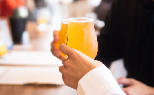 SHIMANTO Brewing オリジナル クラフトビール 3種 飲み比べ セット 瓶 3本 各 330ml 合計 990ml お酒 醸造所 直送 地ビール ビール 瓶ビール 父の日 母の日 誕生日 ギフト お中元 お歳暮 贈答 高知 四万十 しまんと クラフトビール330ml瓶×3本（箱入り）