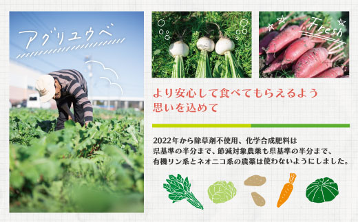 【 2回定期便 早期受付 数量限定 】アグリユウベの冬野菜セット (小) とれたて 新鮮 農家直送 国産 野菜 野菜便 やさい 野菜 冬野菜 産地直送 国産 旬 高知県 四万十市 四万十 しまんと 定期便 【配送月：2027年1月・2月】