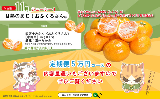 【年末限定】 5回 定期便 四万十 人気 グルメ お楽しみ しまんと ふるさと 定期便 5万円 Aコース 今だけ 限定 野菜 うなぎ 鰻 パン 冷凍パン 魚 魚介 タタキ たたき 鰹 かつお フルーツ みかん 温州 贅沢 高知 四万十市 R7