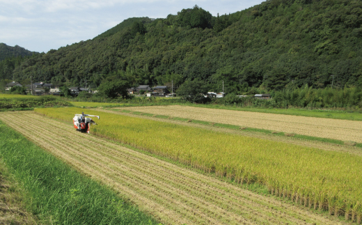 【令和7年産 新米 早期受付 数量限定】 四万十 の 米どころ 山間地域で育てた 大宮米 コシヒカリ 10kg 高知県 高知 しまんと 国産 お米 米 白米 精米 こしひかり 低農薬栽培 ご飯 産地直送 【2025年9月中旬より順次配送】