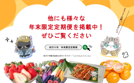 【年末限定】 12回 定期便 四万十 人気 グルメ お楽しみ定期便 しまんと ふるさと 20万円 今だけ 年末 限定 肉 いちご うなぎ 牛肉 パン まぐろ マグロ かつお フルーツ 人気グルメ ごちそう 贅沢 豪華 高知 四万十市