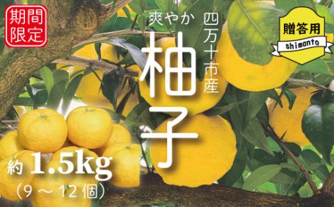 【早期受付・期間限定】 四万十産　爽やか柚子（贈答用）約1.5kg（9個～12個）【2023年12月中旬～2024年2月下旬発送】