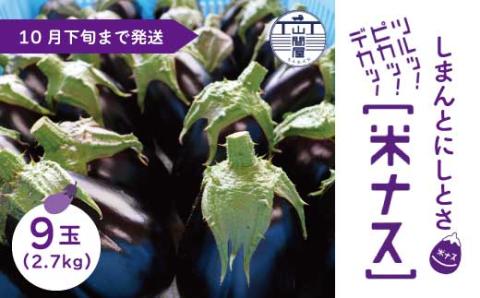 【期間限定】デカ！ピカ！ツル！しまんとにしとさ米ナス9玉（約2.7kg）【2023年10月下旬まで発送】R5-413
