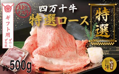 【ギフト用（包装・のし対応）】幻のメス牛 四万十牛特選ローススライス（すき焼き・しゃぶしゃぶ用）約500ｇ R5-974G