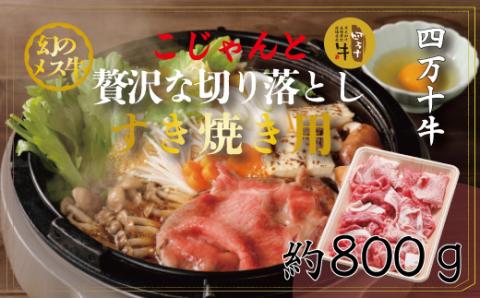 幻のメス牛　四万十牛こじゃんと贅沢な切り落とし（すき焼き・800ｇ）R5-018