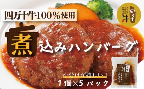 幻のメス牛 四万十牛100％使用ジューシーな煮込みハンバーグ5個 R5-400