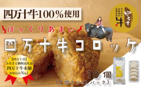 四万十牛100％！コロッケ 10個入り（5個×2パック）R5-015