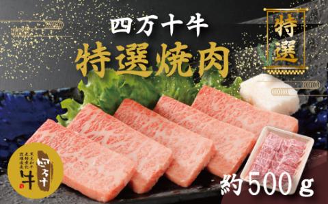 幻のメス牛 四万十牛特選焼肉（約500ｇ）R5-977