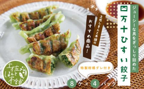 家(うち)に来る“高知” ジューシーな具をぎっしり詰めた手づくり!!　四万十ひすい餃子（8ケ入×4パック）・たれ付き　にんにく不使用！R5-1024